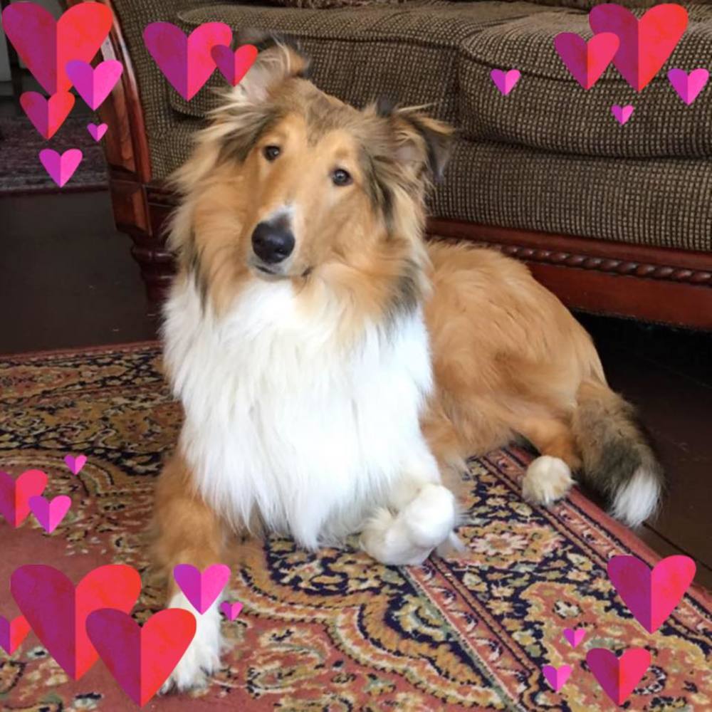 Meet your Posher, Erica